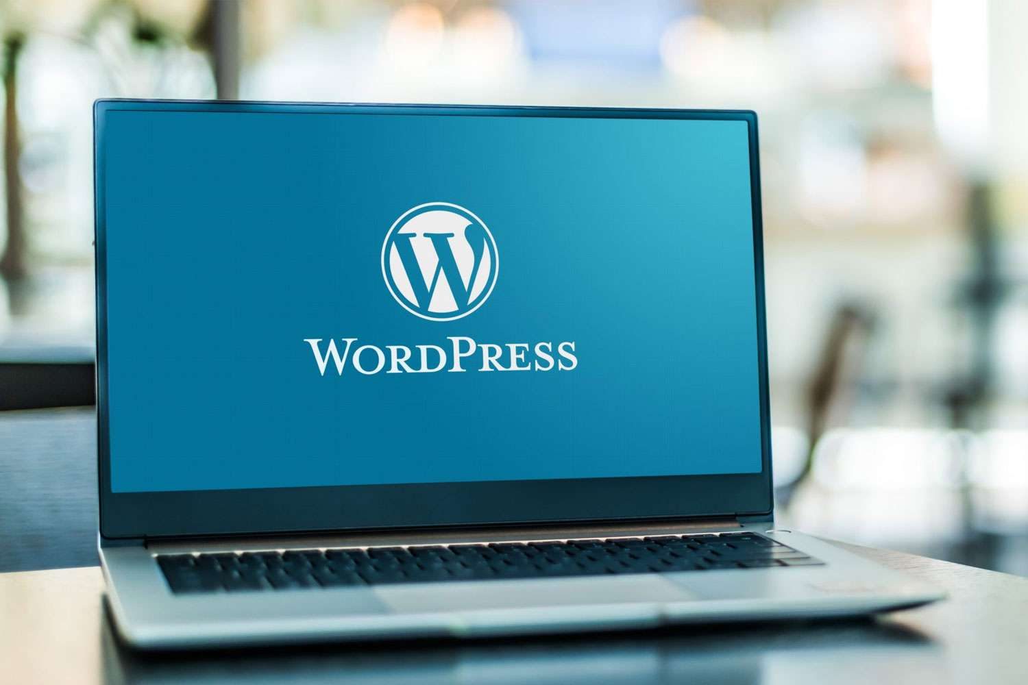Wordpress Development Services in Kansas